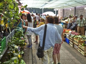 Madeira Market Jeep Tour