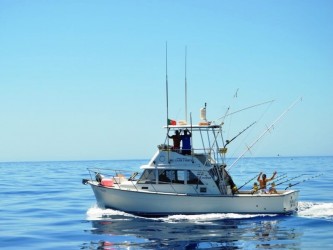 madeira sportfishing private boat