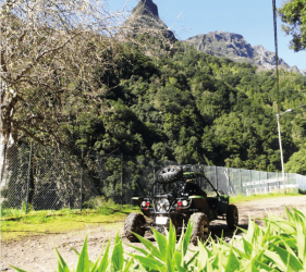 Ocotea Buggy Safari Tour 2h30 in Madeira