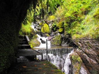 PR16 Faja do Rodrigues Levada Walk in Madeira Island