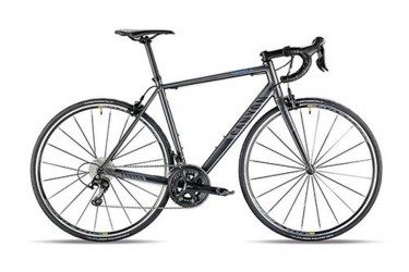 Rent a Bike Madeira Carbon Road Bike