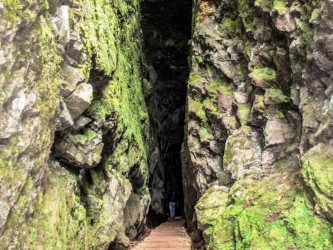 Ribeiro Frio Easy Trail Tour in Madeira Island