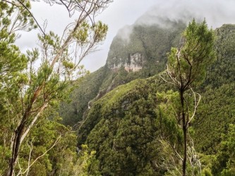 Sao Jorge (hard) Madeira Trail Tour