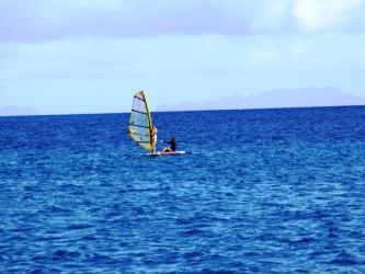 Windsurf equipment rentals in funchal madeira island