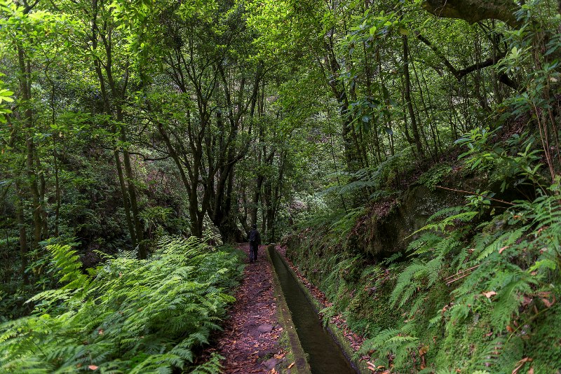 3-Levada-do-Rei-Walk-in-Madeira-ISland