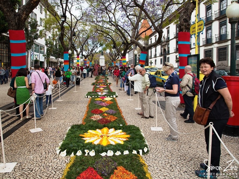 Madeira-Flower-Festival