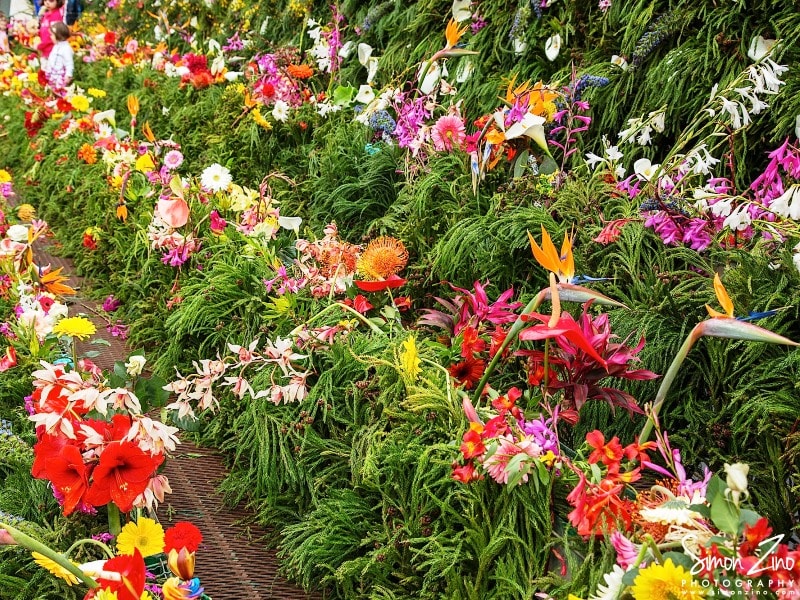 Madeira-Flower-Festival