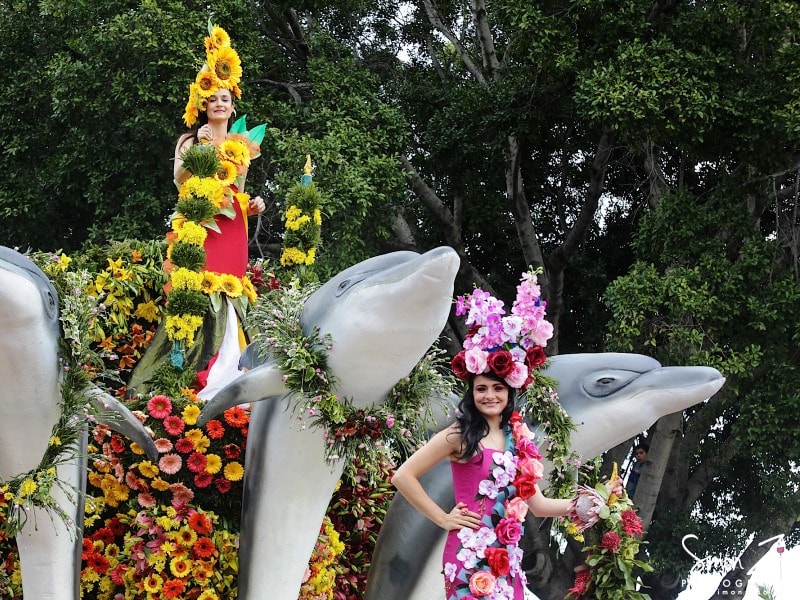 Madeira-Flower-Festival-