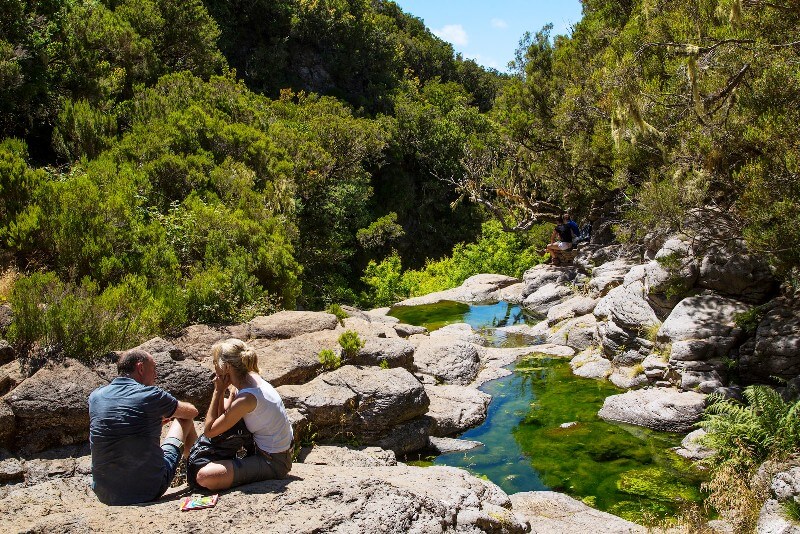 Madeira Outdoor Activities - 10 Reasons to Visit Madeira Island - Nature